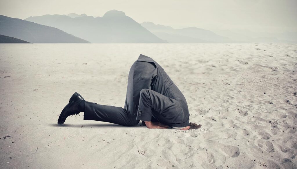 Head in sand Business