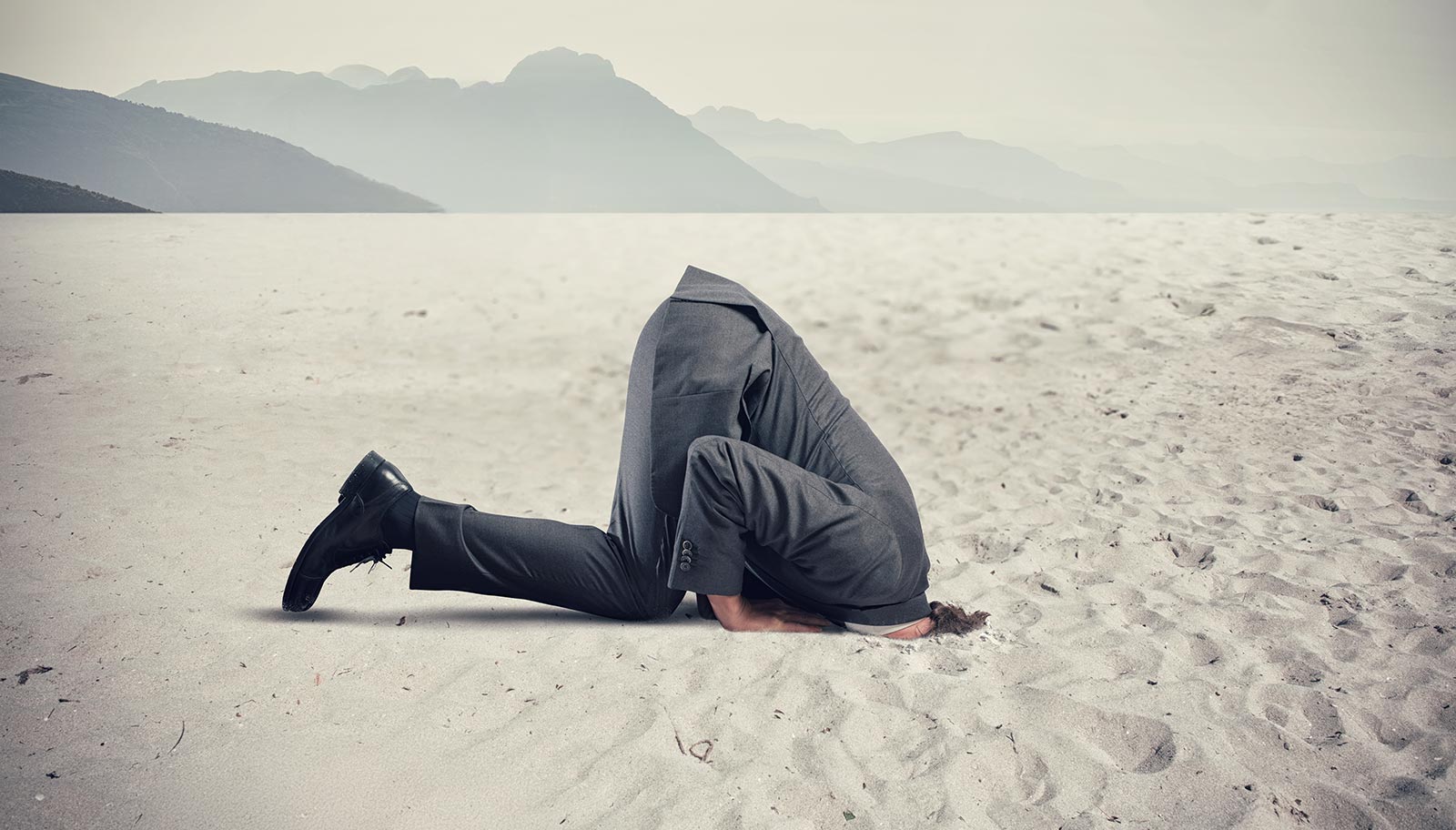Head in sand Business