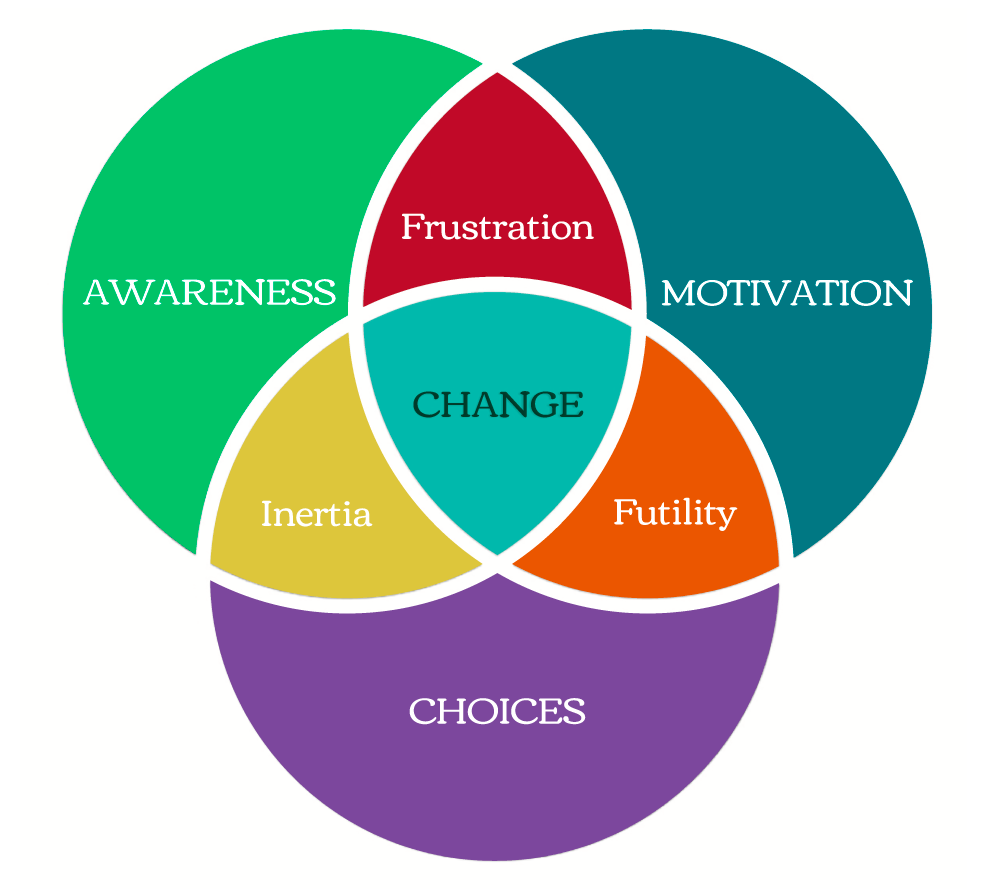 The AMC Behavioural Change Model © Karen Meager and John McLachlan