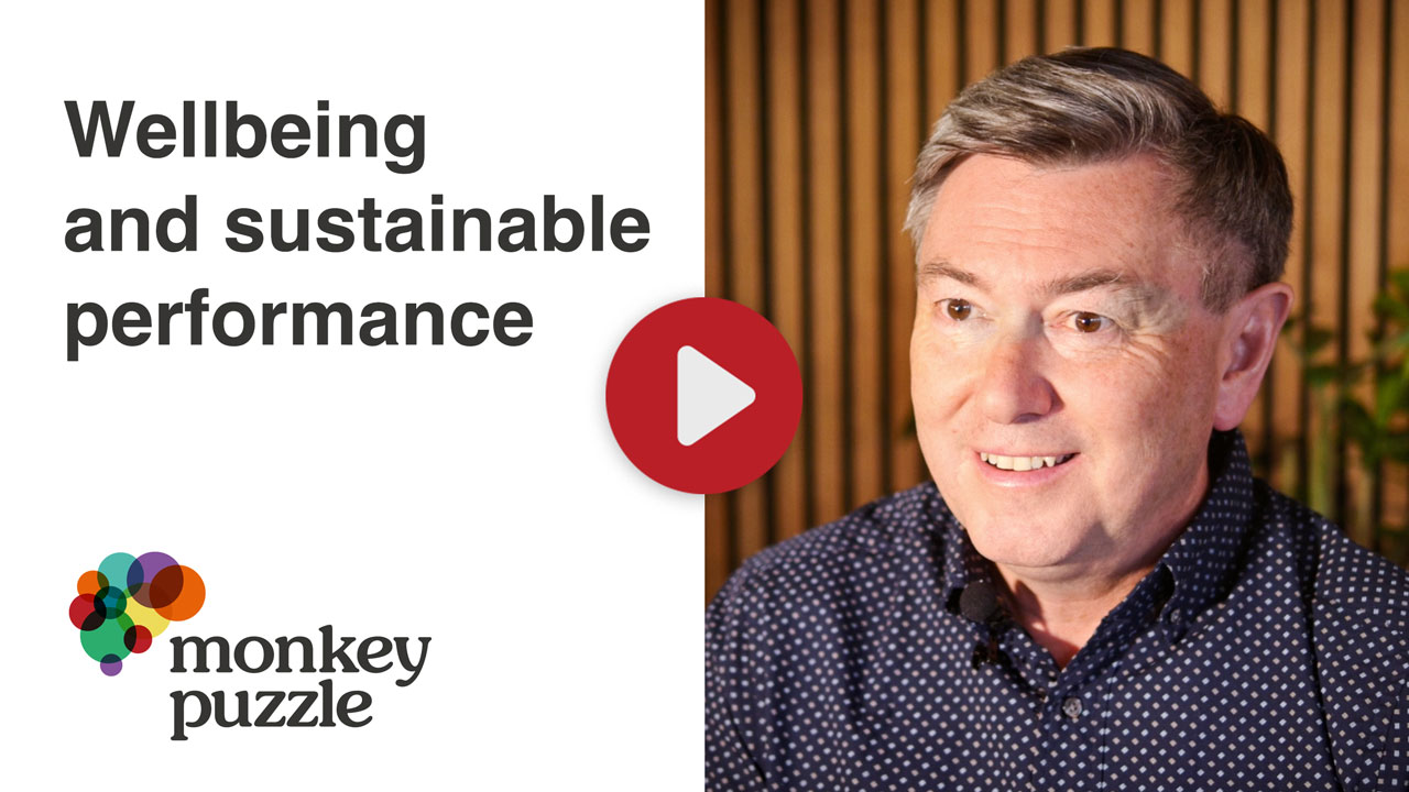 wellbeing and Sustainable Performance